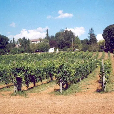 Θέρετρο La Cantina
